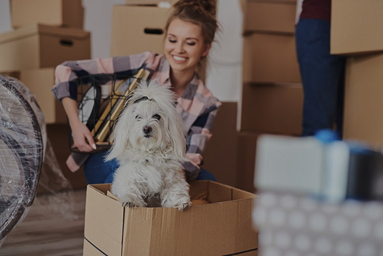 How to Move with Pets: What You Need to Know