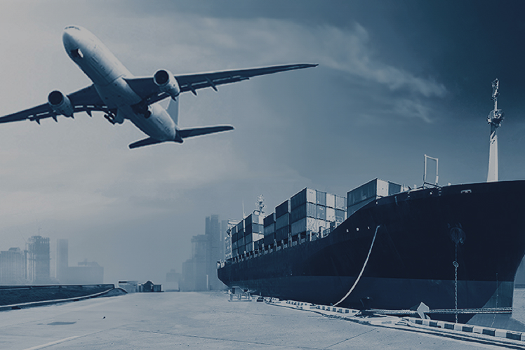 International Removals: Sea vs. Air Freight